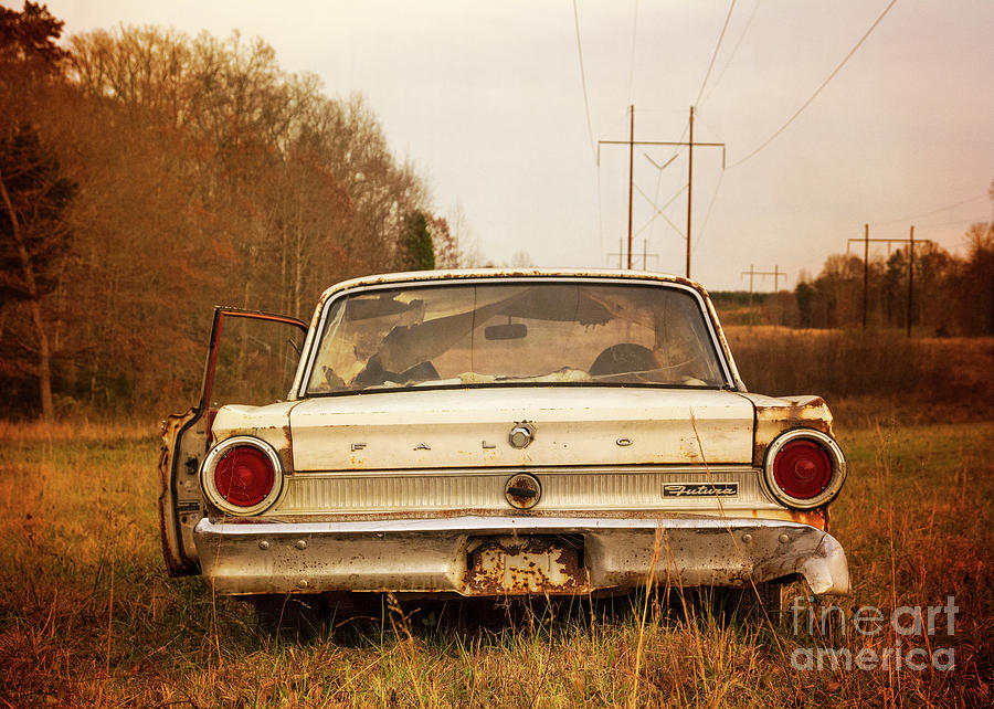 Ford Falcon In The Field Photograph