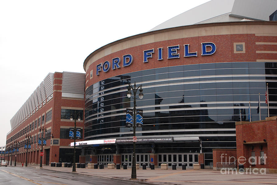 Ford Field Photograph by Grace Grogan