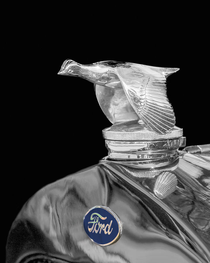 Ford Flying Quail Radiator Cap Photograph by Susan Rissi Tregoning