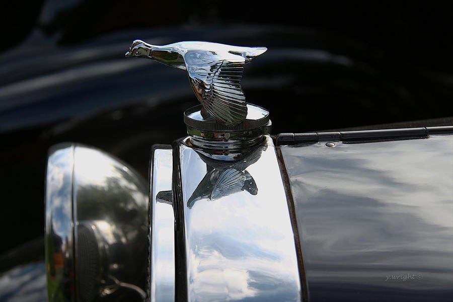 1930 Ford - Hood Ornament Photograph by Yvonne Wright