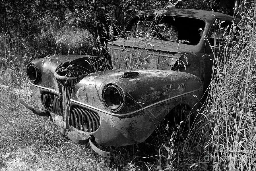 Ford in the Weeds Photograph by Denise Bruchman