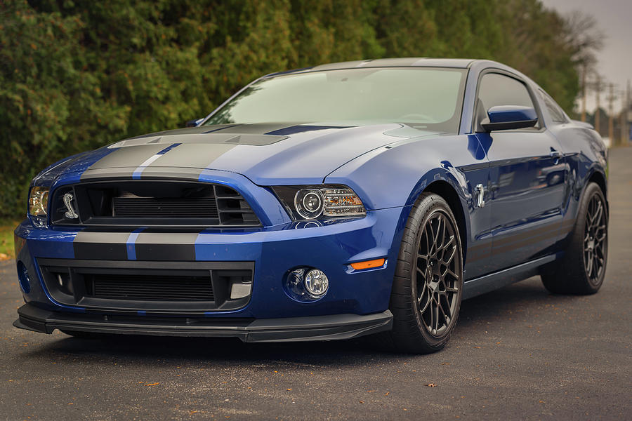 Ford Mustang Blue Side Photograph by James Meyer