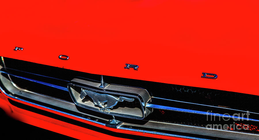 Ford Mustang Photograph by David Millenheft
