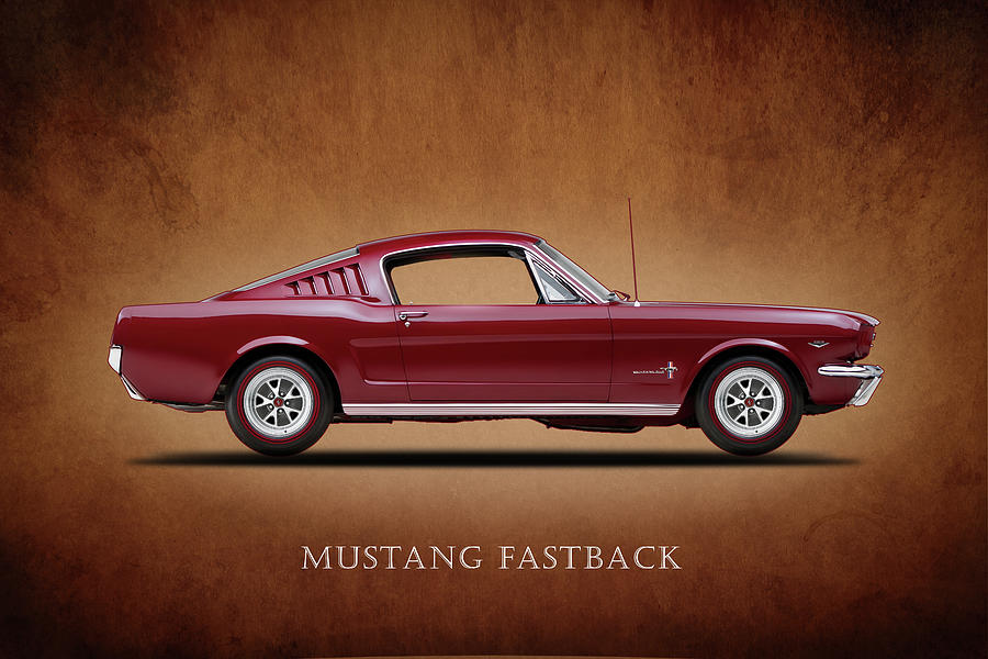 Car Photograph - Ford Mustang Fastback 1965 by Mark Rogan