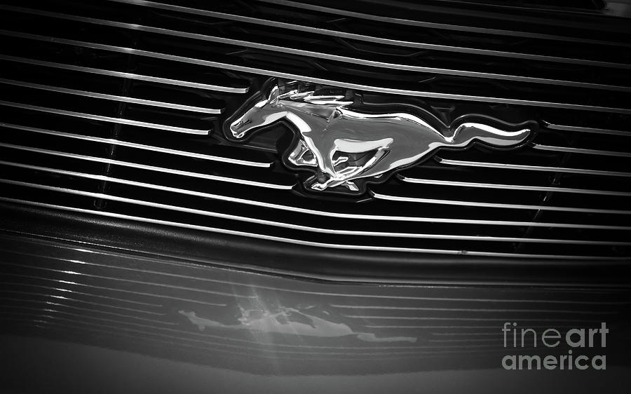 Ford Mustang Grill - Black and White Photograph by Colleen Kammerer