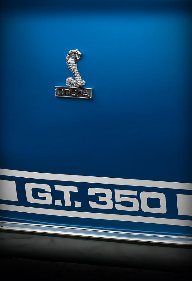 Ford Mustang G.T. 350 COBRA Photograph by Gordon Dean II