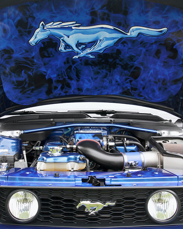 Ford Mustang Under the Hood Photograph by Bob Slitzan