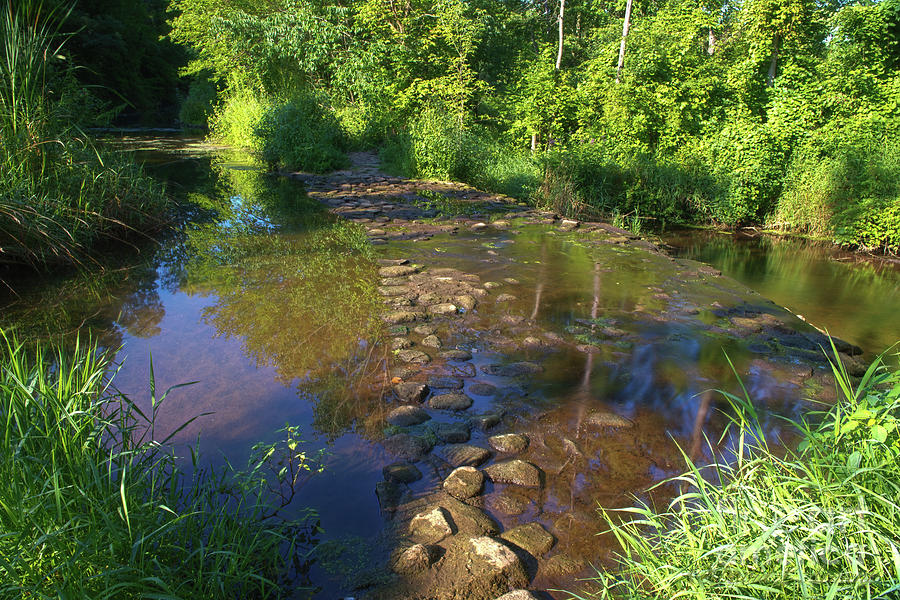 Ford the Stream Photograph by David Arment