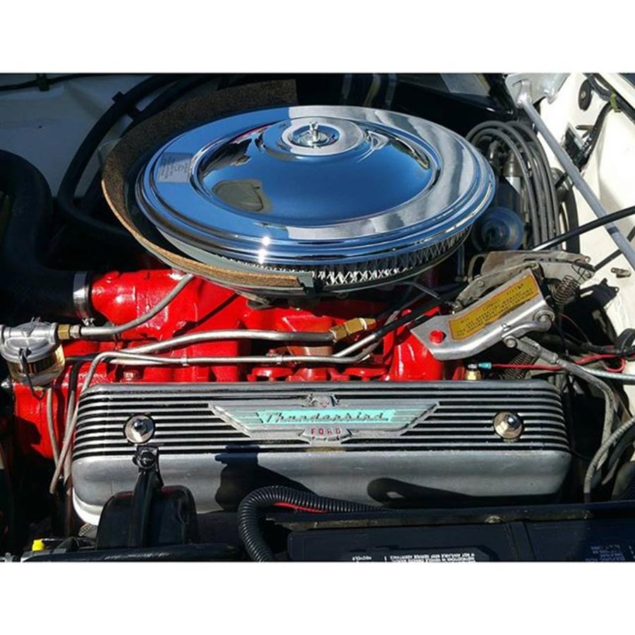 Bird Photograph - Ford Thunderbird Engine #ford #dodge by Paul Wesson