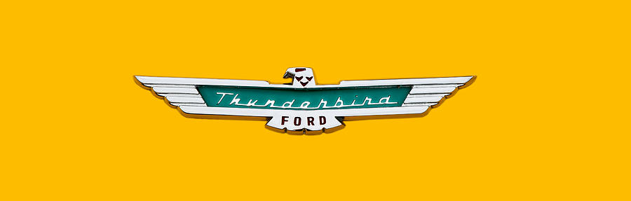 Ford Thunderbird Photograph by Michael Porchik