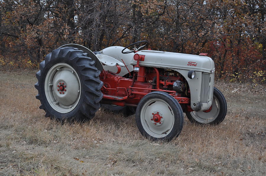 Farm Photograph - Ford Tractor by Daryl  Macintyre