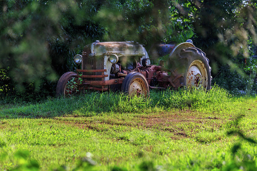 Ford Tractor Photograph by Doug Camara