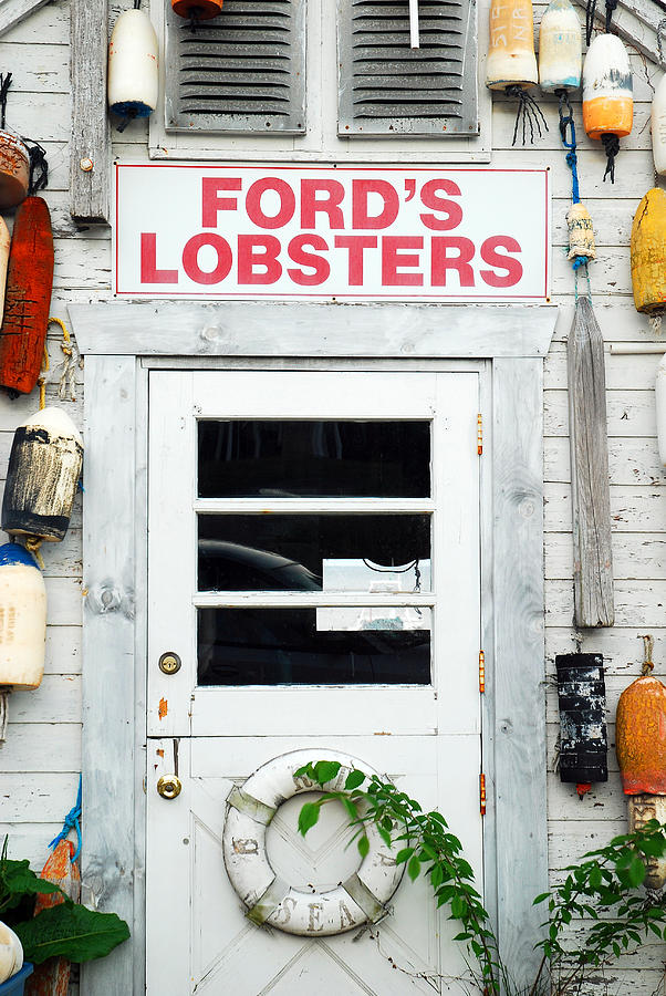 Fords Lobster Photograph by James Kirkikis