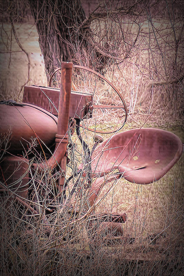 Fordson Tractor Seat Photograph by Leslie Montgomery