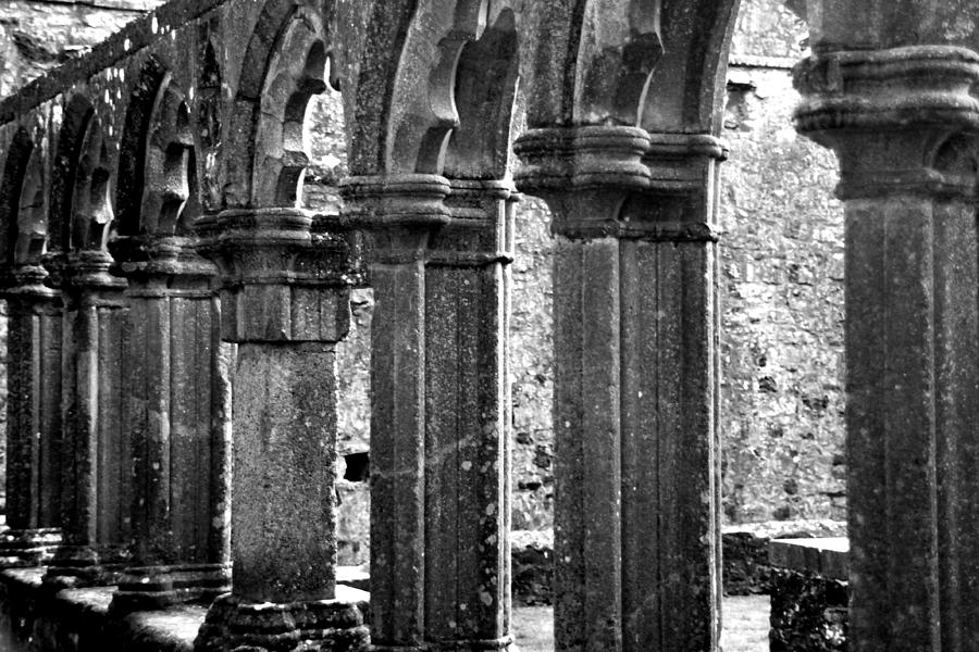 Fore Abbey Ruins Close up Photograph by Martina Fagan