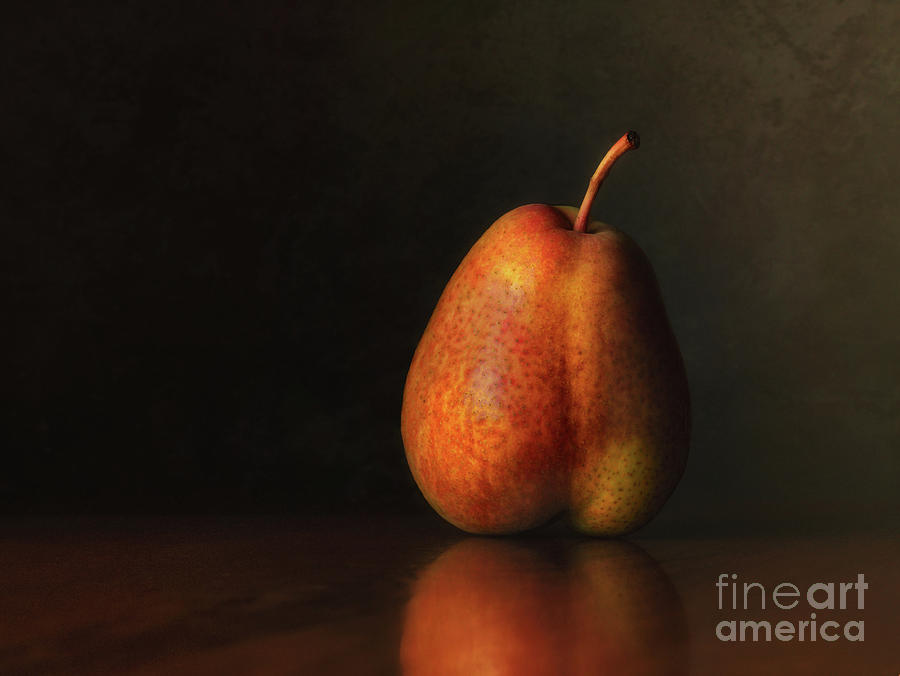 Still Life Photograph - Forelle Pear by Mark Miller