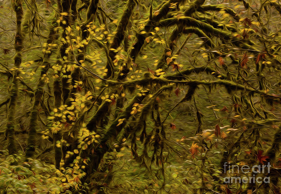Forest Abstract 1 Photograph by Vivian Christopher