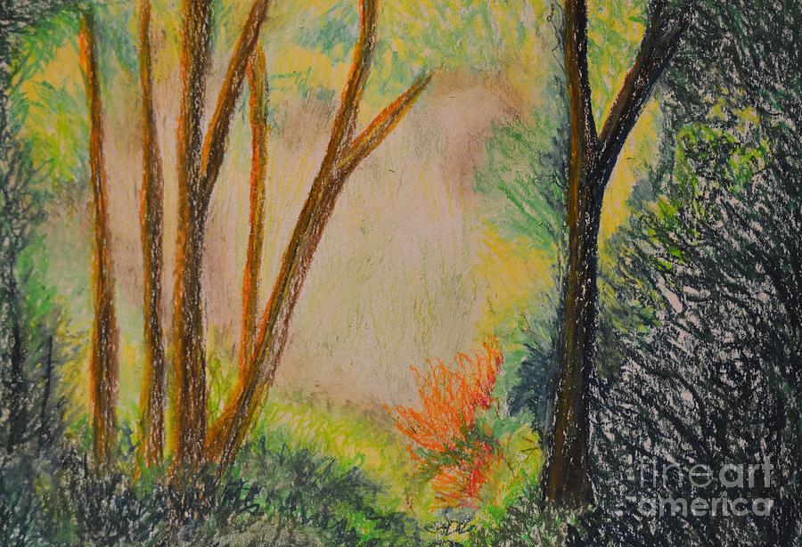Nature Pastel - Forest Aglow - Pastels by Maria Urso