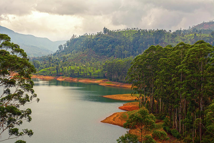 Forest and lake around Dalhouisie, Sri Lanka Photograph by Lukasz ...