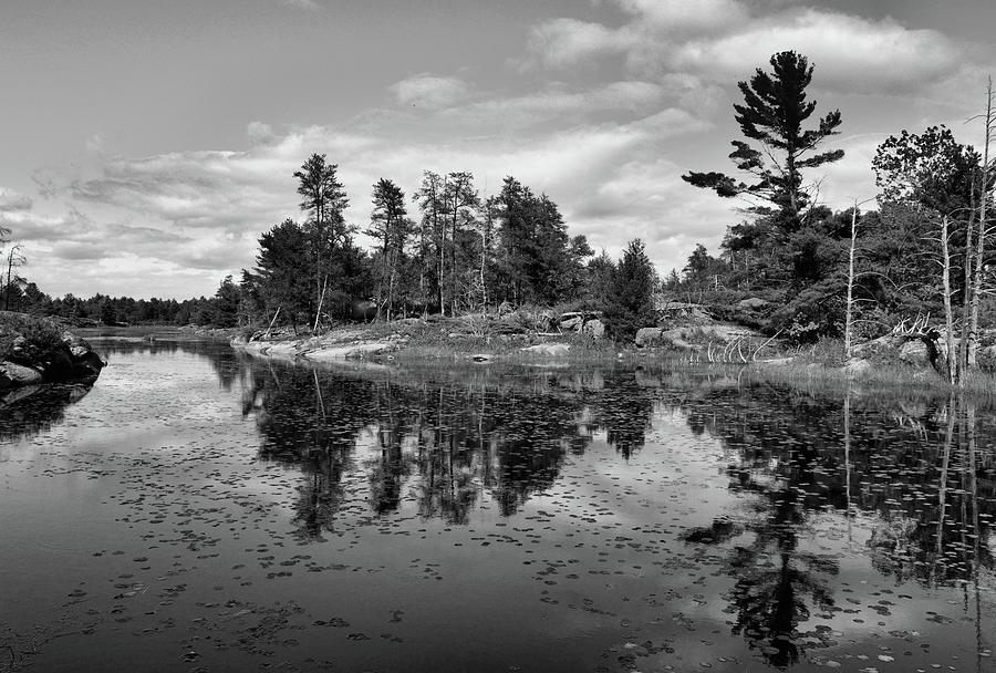 Forest and Water BW  Photograph by Lyle Crump