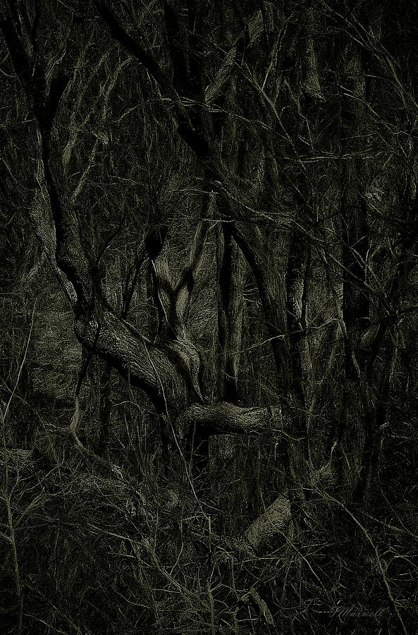 Готика эстетика сонная лощина. Готический лес. Мрачная природа. Мрачные готические пейзажи. Вампирский лес.