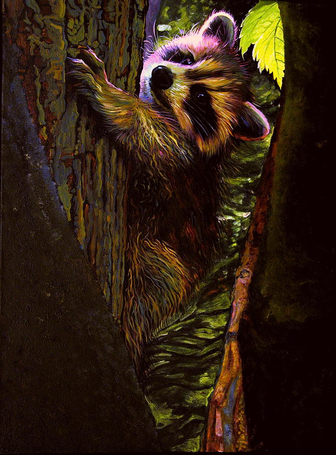 Wildlife Painting - Forest Baby Raccoon by Kelly McNeil