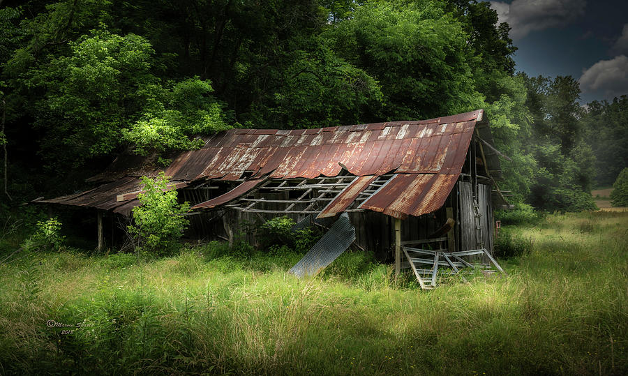 Nature Photograph - Forest Barn by Marvin Spates