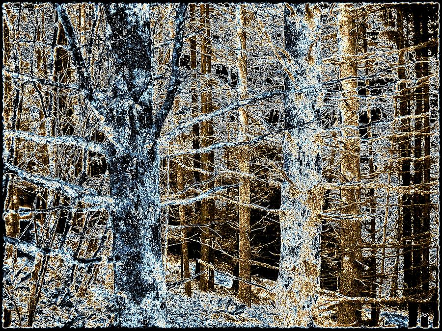 Forest Calm Digital Art by Will Borden