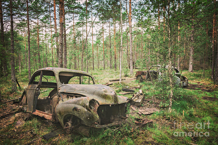Forest car cemetery Photograph by Sophie McAulay