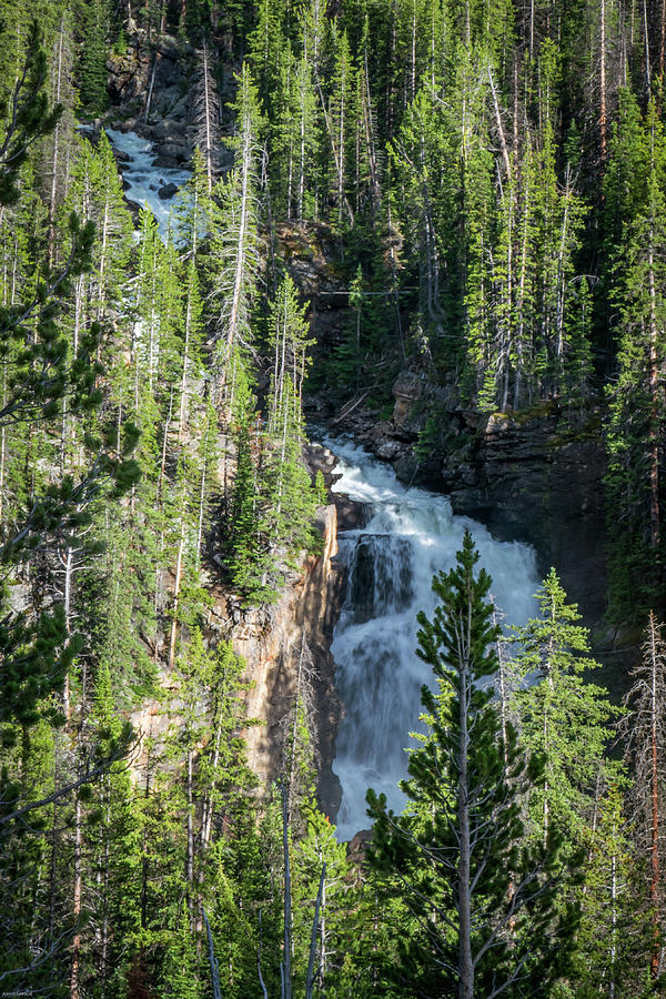 Forest Cascade Photograph by Aaron Geraud - Fine Art America