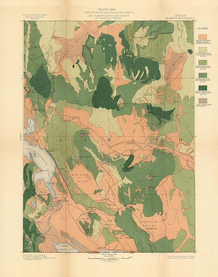 Forest Cover Map 1886-87 - Oregon Klamath Quadrangle - Geological Map Drawing