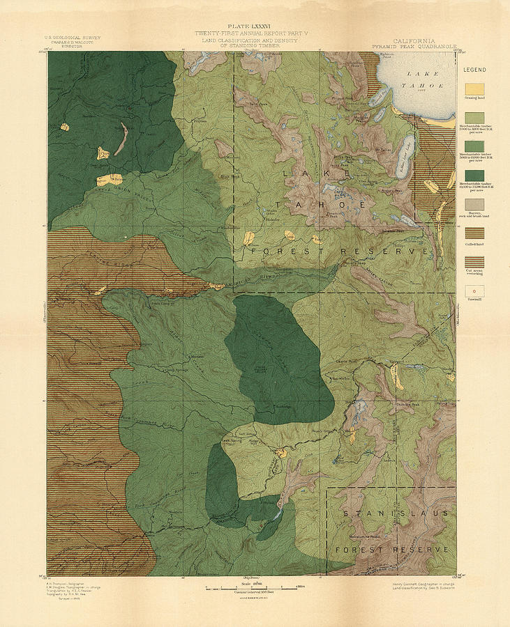 Forest cover map 1886-87 - Pyramid Peak Quadrangle - California - Geological Map Drawing by Studio Grafiikka