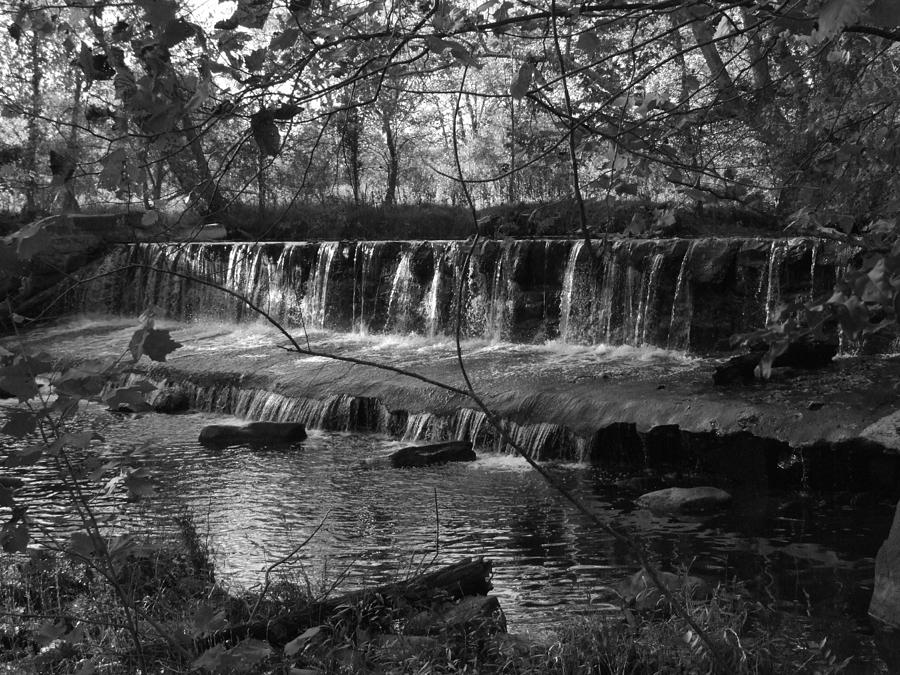 Forest Dam Photograph by Michael L Kimble | Fine Art America