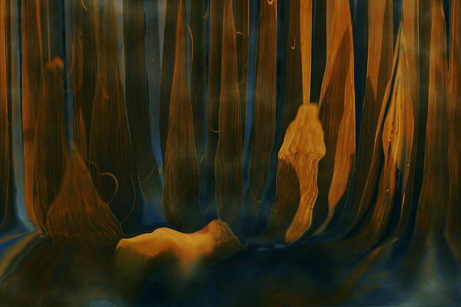 Forest Dreams Digital Art by Linda Sannuti