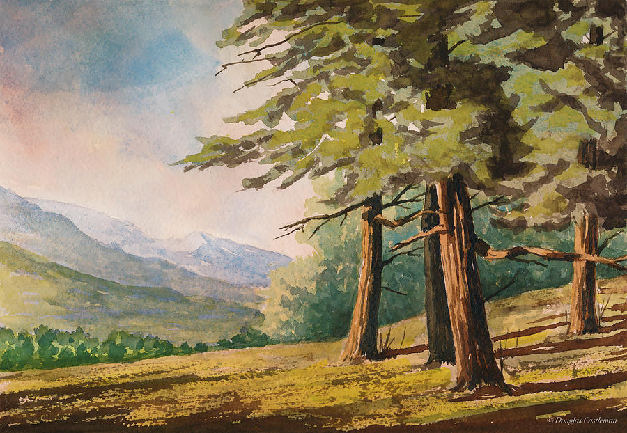 Forest Edge Painting by Douglas Castleman