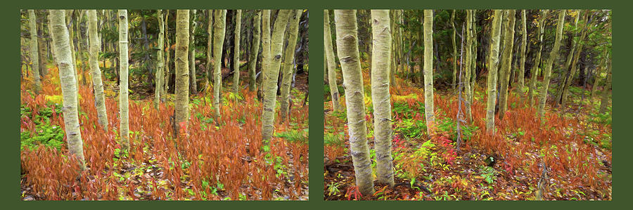 Forest Enchantment Rembrandt Style Diptych Art Photograph