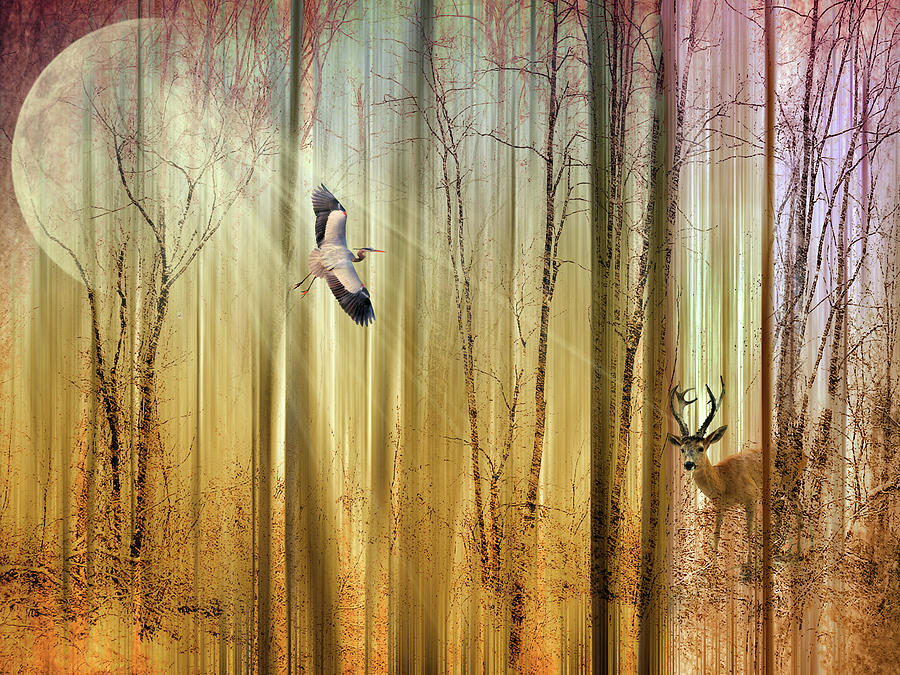 Forest Fantasy  Photograph by Jessica Jenney