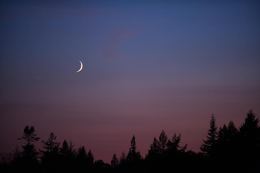 Forest Fire Smoke And The Crescent Moon Photograph