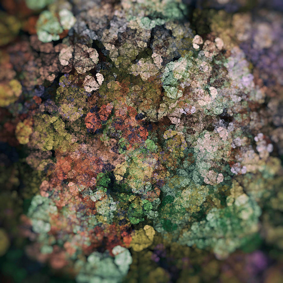 Forest Floor - Fractal Digital Art by SharaLee Art