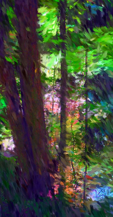 Nature Digital Art - Forest for the trees by David Lane Nature Digital Art - Forest for the trees by David Lane