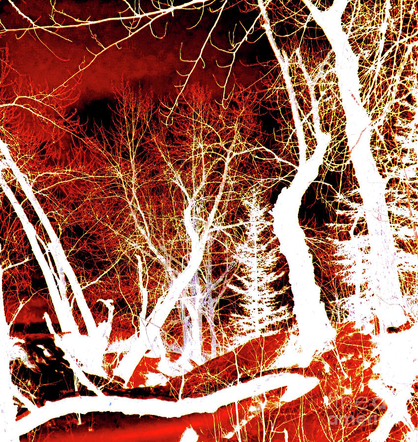 Forest Ghosts - Abstract Fire  Photograph by Jor Cop Images