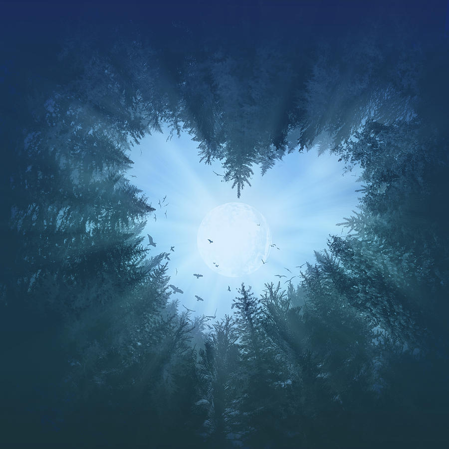 Tree Digital Art - Forest Heart 2 by Bekim M