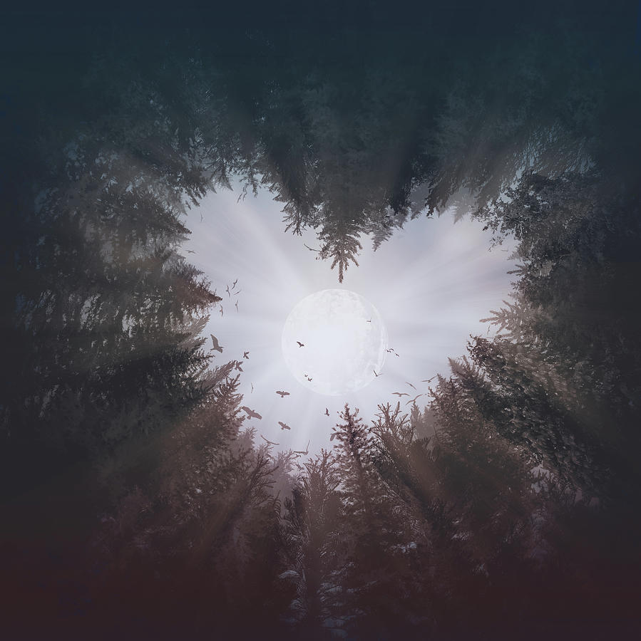 Forest Heart Digital Art by Bekim M