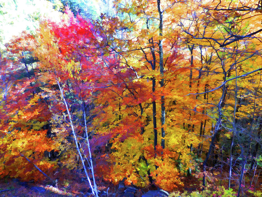 Forest in Autumn Painting by Jeelan Clark
