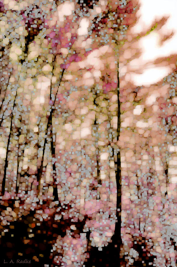 Forest in Autumn Photograph by Lauren Radke