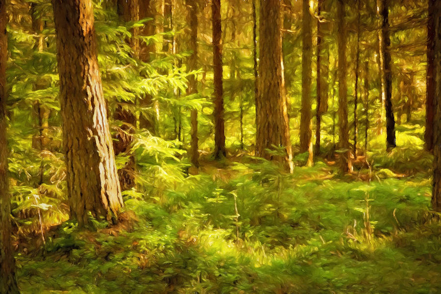Forest in Sunlight Painting by Lutz Baar