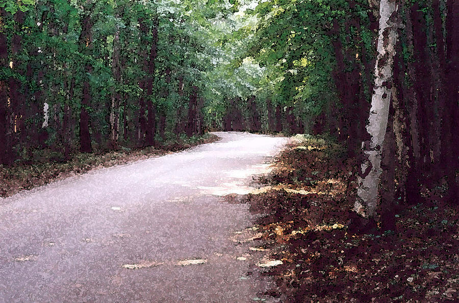 Forest in the Road WC 2 Photograph by Lyle Crump