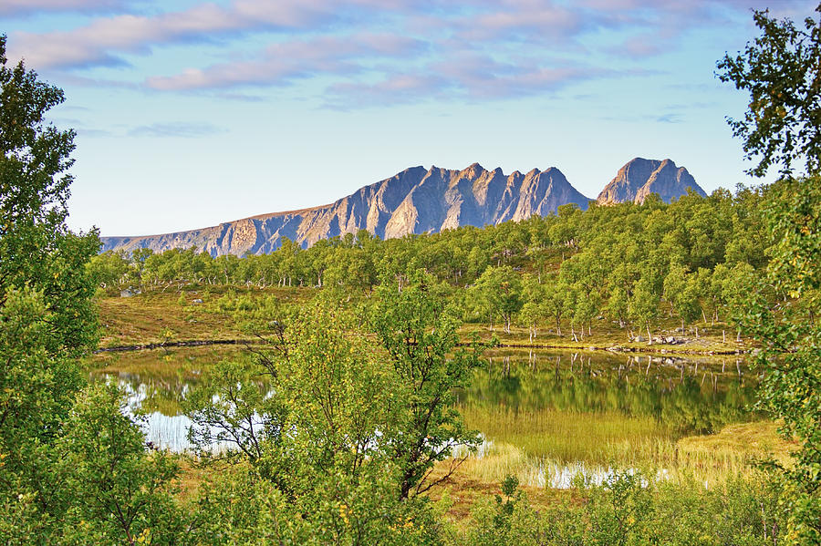 Forest lake on Hinnoya in northern Norway Photograph by Ulrich Kunst And Bettina Scheidulin