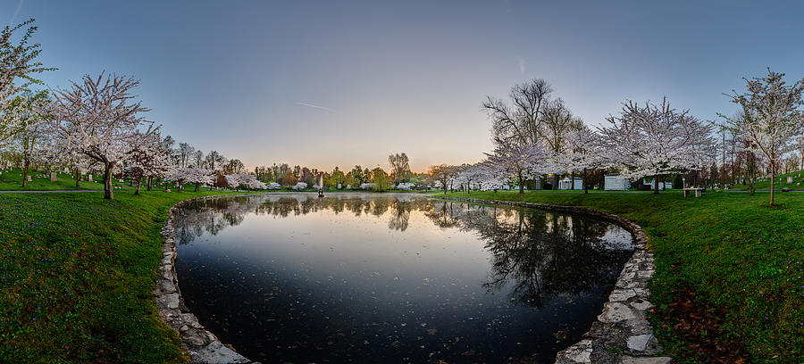 Fountain Photograph - Forest Lawn Cherry Blossoms - No 1 by Chris Bordeleau