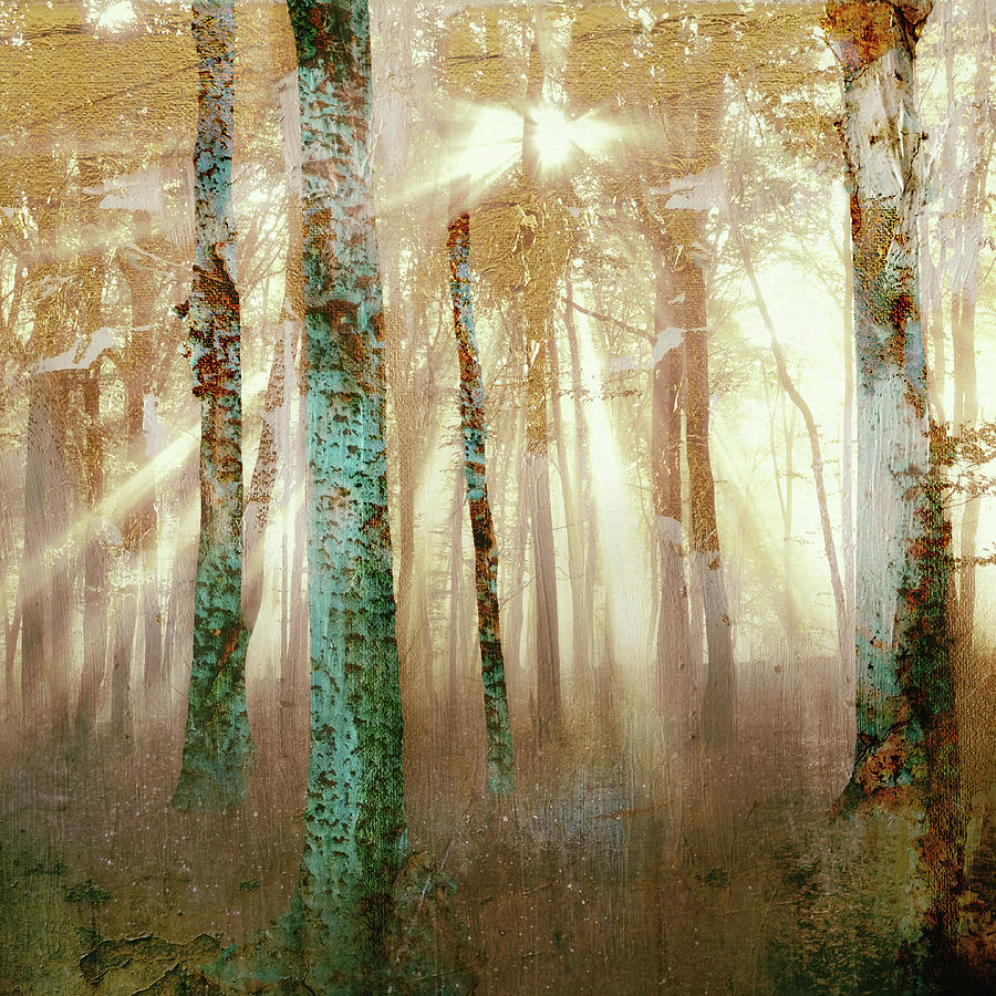 Forest Digital Art - Forest Light by Katherine Smit